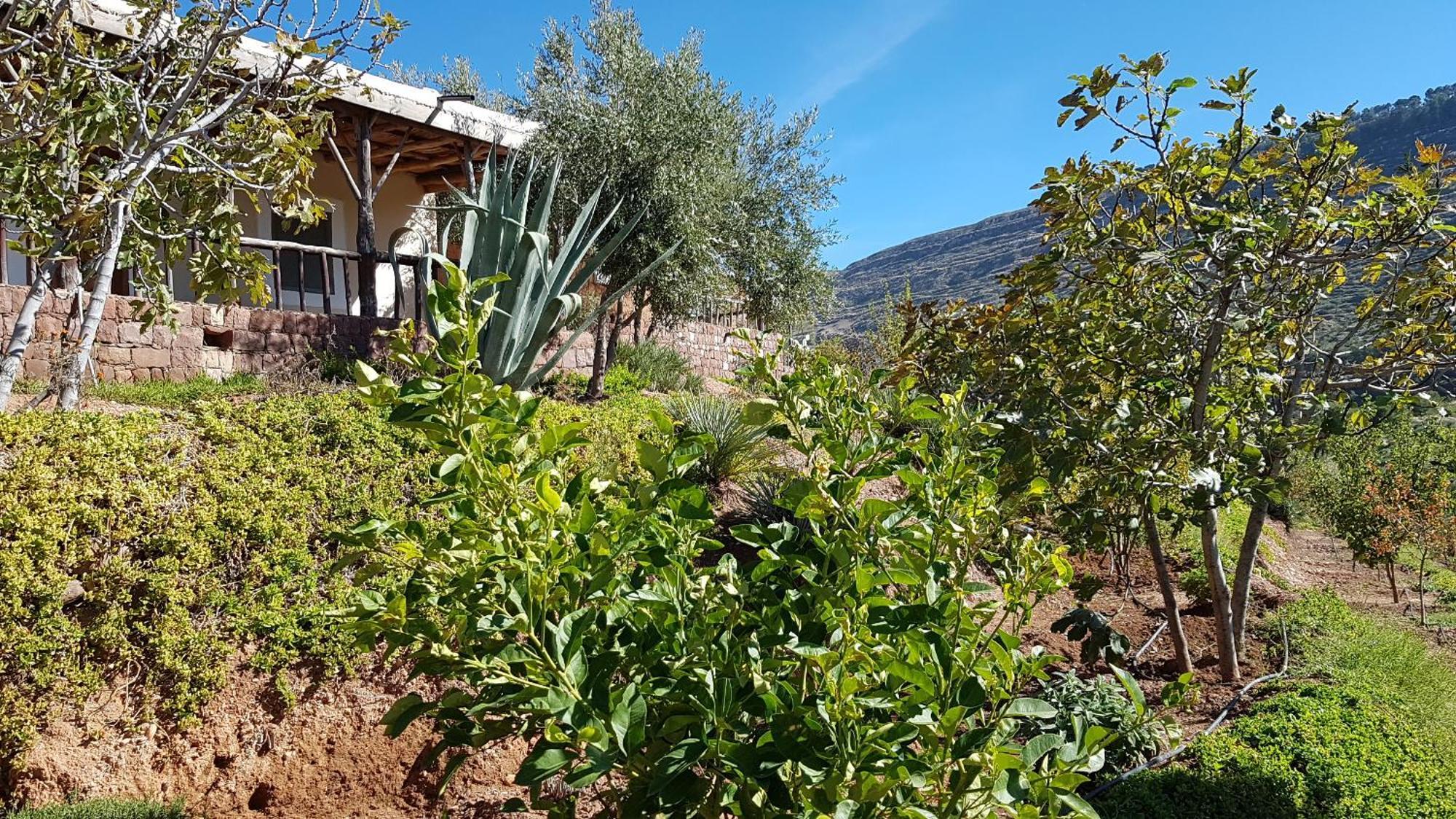 Villa Le Douar Berbere (Adults Only) Ourika Exterior foto